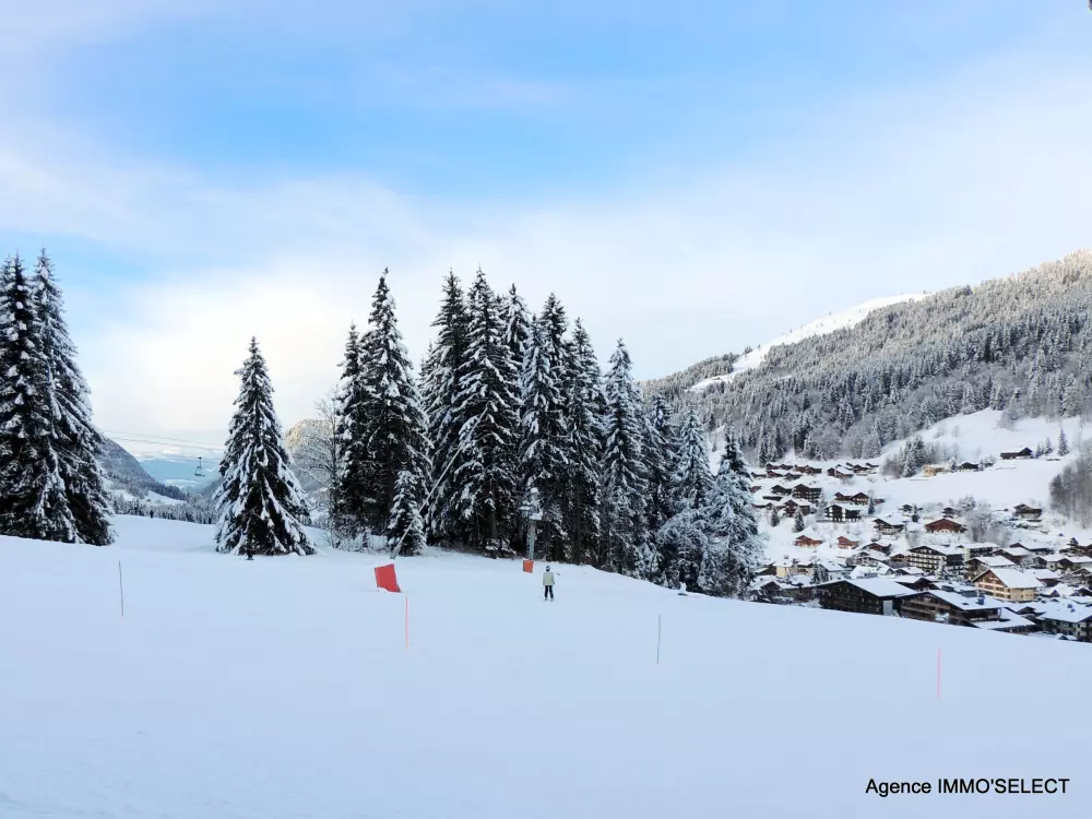 Location de Vacances Les Gets 482