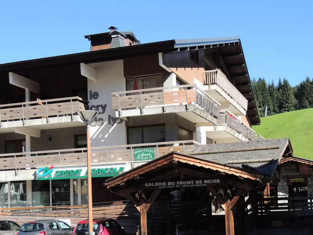 Location de Vacances Les Gets 486