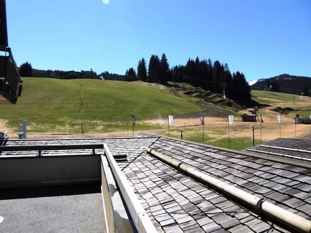 Location de Vacances Les Gets 487