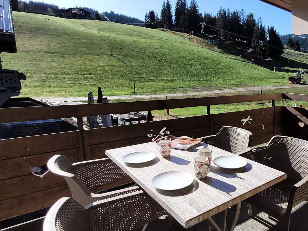 Location de Vacances Les Gets 488