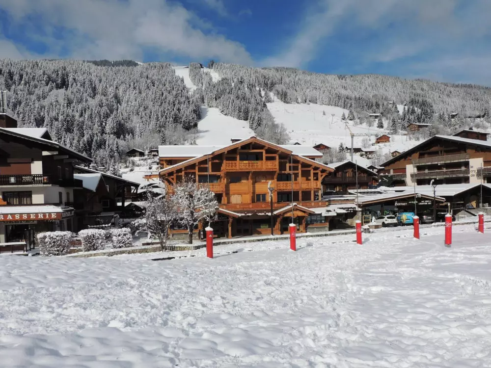 Location de Vacances Les Gets 489