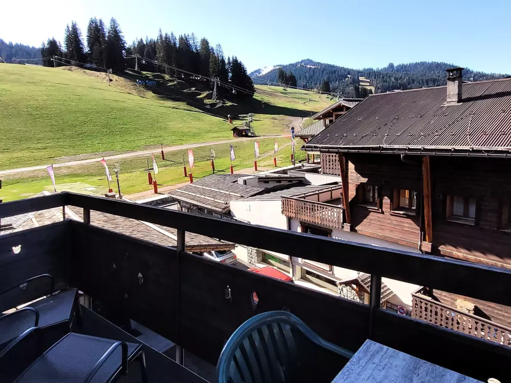 Location de Vacances Les Gets 490