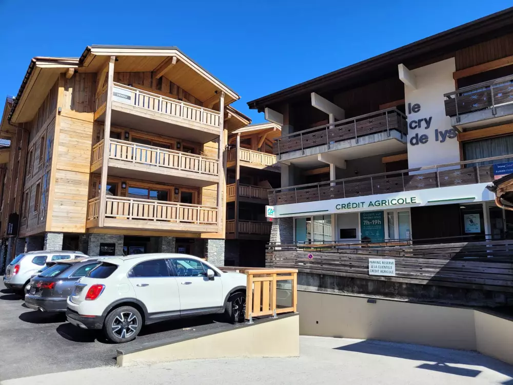 Location de Vacances Les Gets 491