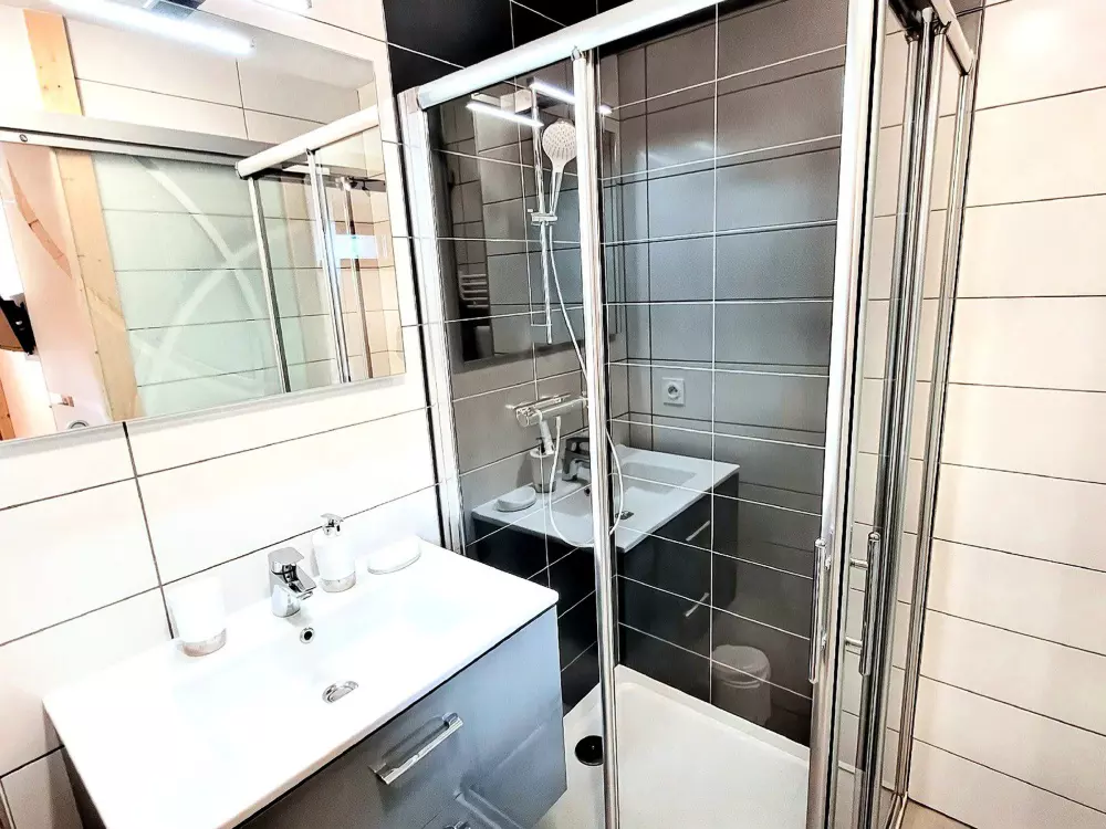 Location de Vacances Les Gets 493