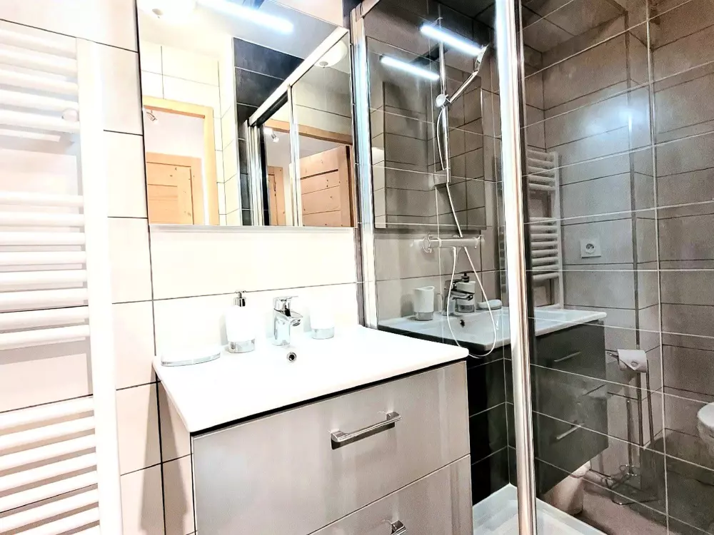 Location de Vacances Les Gets 493