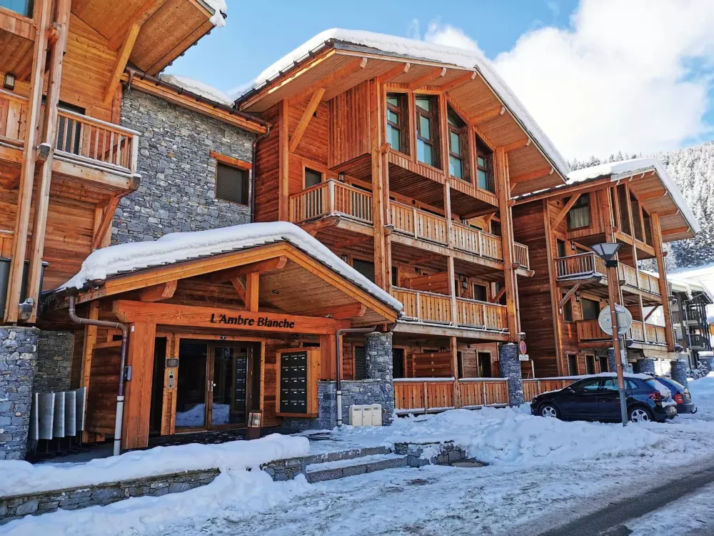 Location de Vacances Les Gets 493