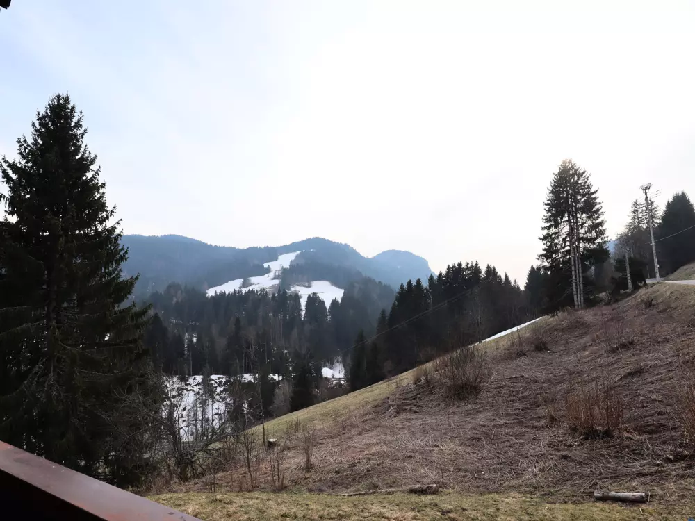 Location de Vacances Les Gets 521