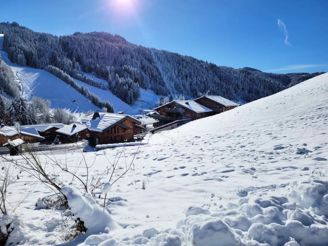 Location de Vacances Les Gets 525