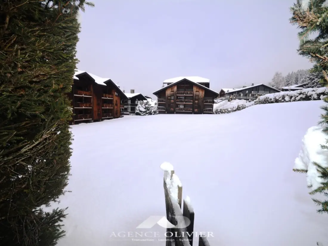 Location de Vacances Les Gets 528