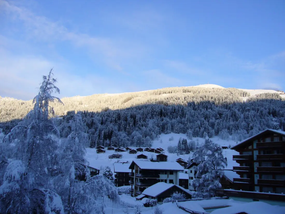 Location de Vacances Les Gets 531