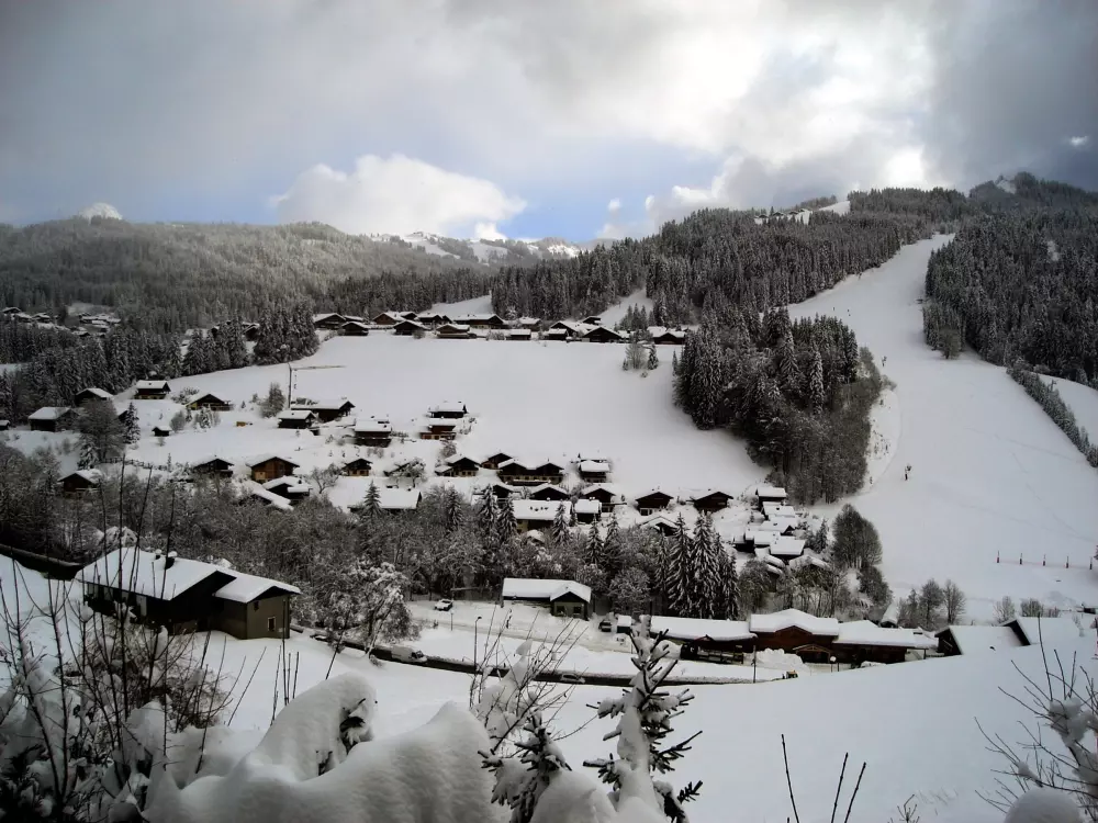 Location de Vacances Les Gets 553