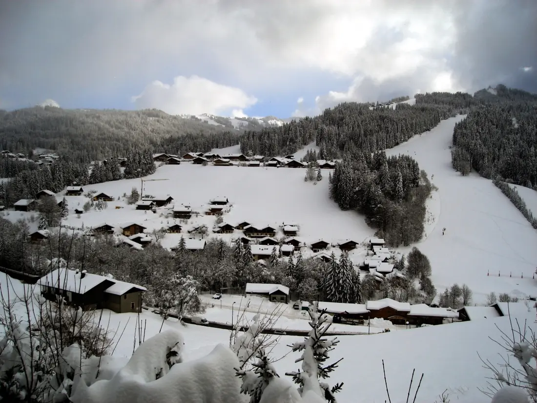 Location de Vacances Les Gets 553
