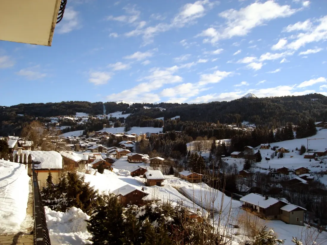 Location de Vacances Les Gets 554