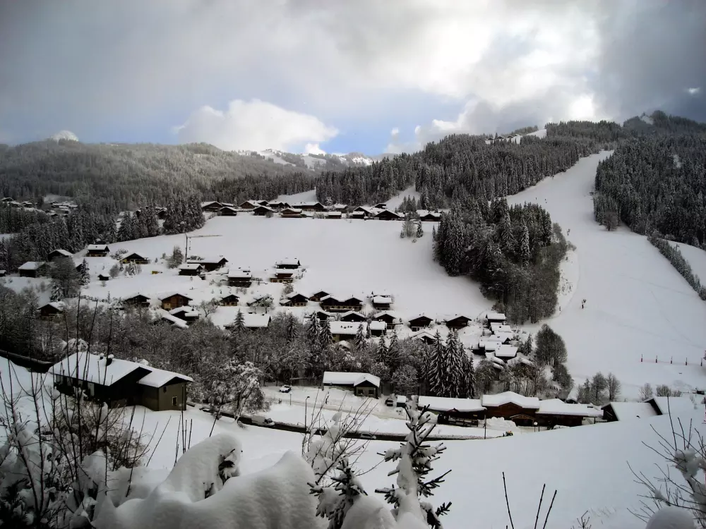 Location de Vacances Les Gets 554