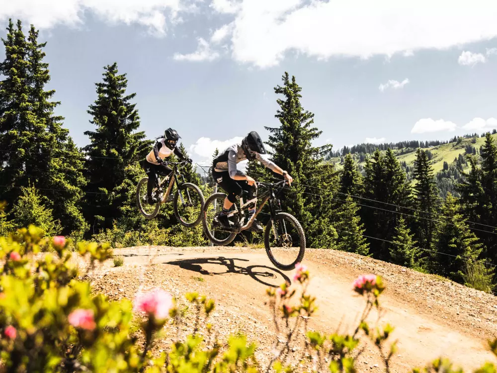 Location de Vacances Les Gets 554