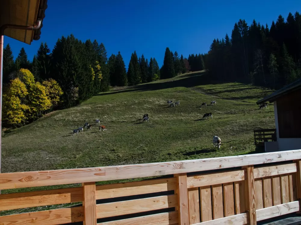 Location de Vacances Les Gets 562