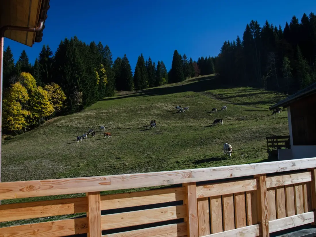 Location de Vacances Les Gets 562