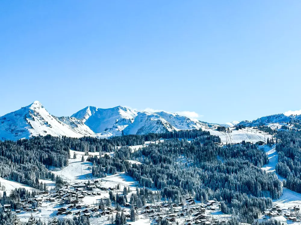 Location de Vacances Les Gets 576