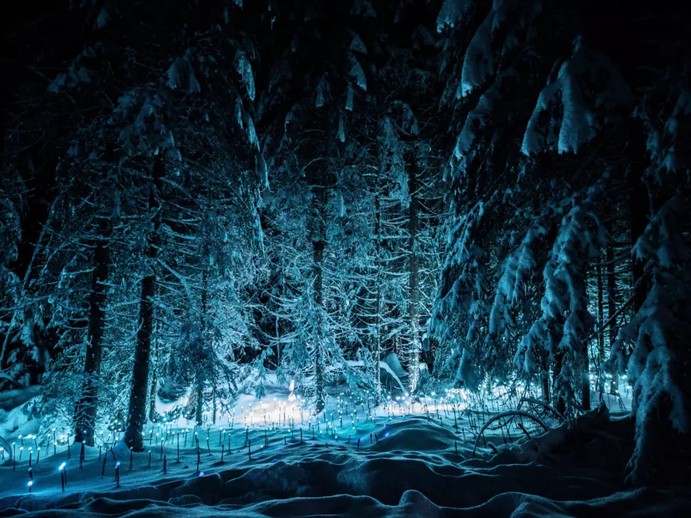 Location de Vacances Les Gets 589