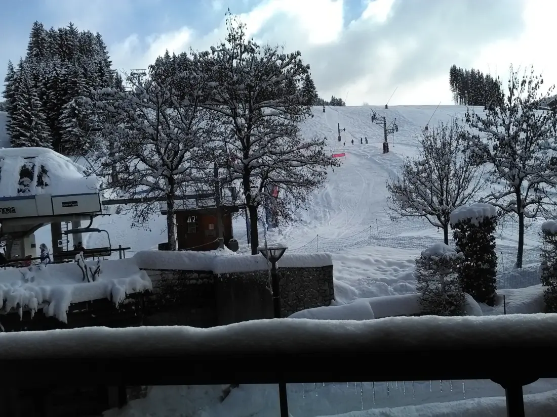 Location de Vacances Les Gets 622