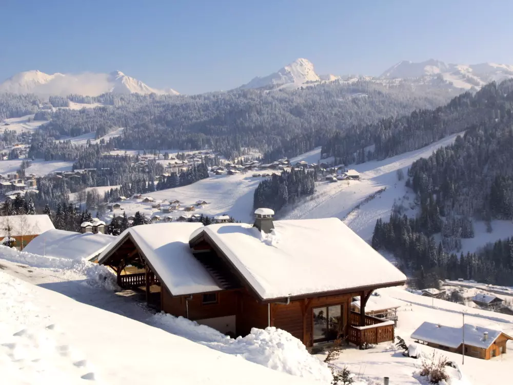 Location de Vacances Les Gets 638