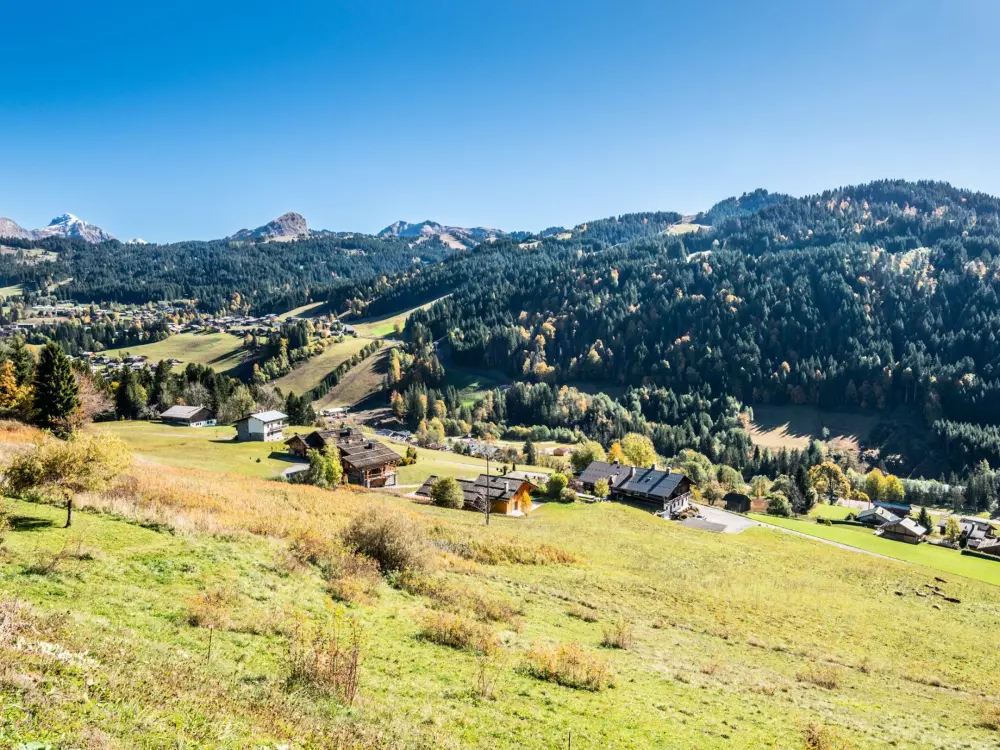 Location de Vacances Les Gets 638