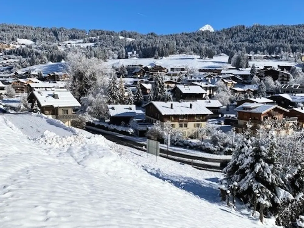Location de Vacances Les Gets 640