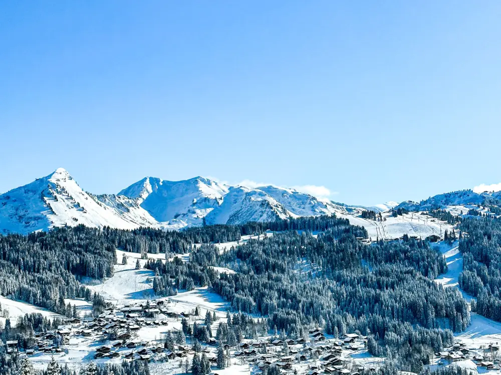 Location de Vacances Les Gets 640