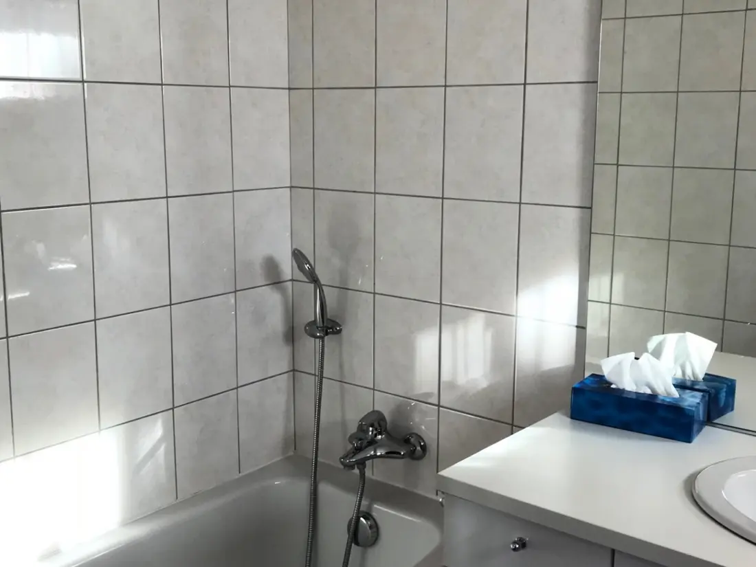 Location de Vacances Les Gets 653