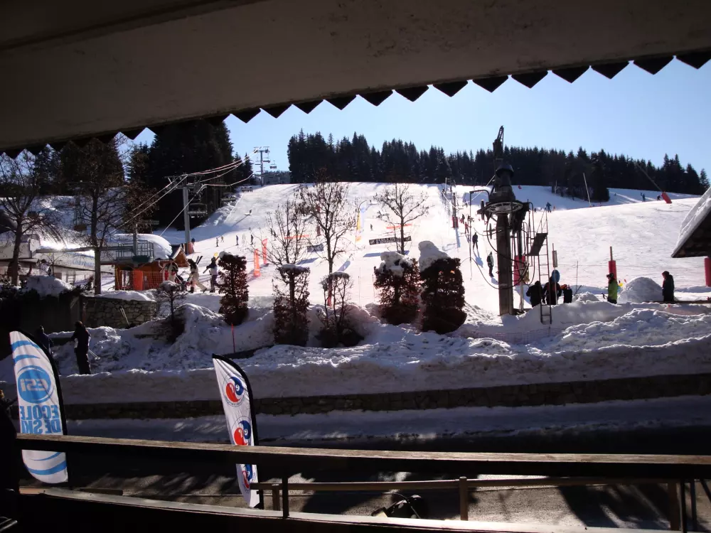 Location de Vacances Les Gets 656