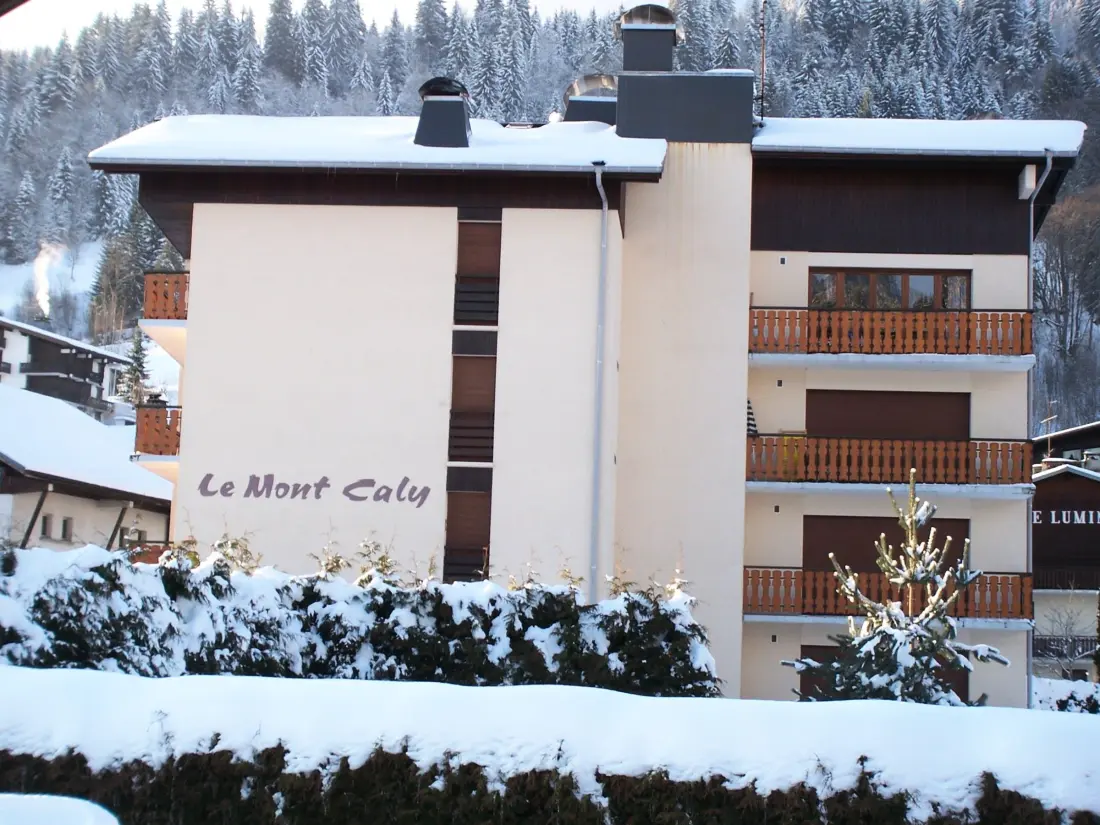 Location de Vacances Les Gets 668