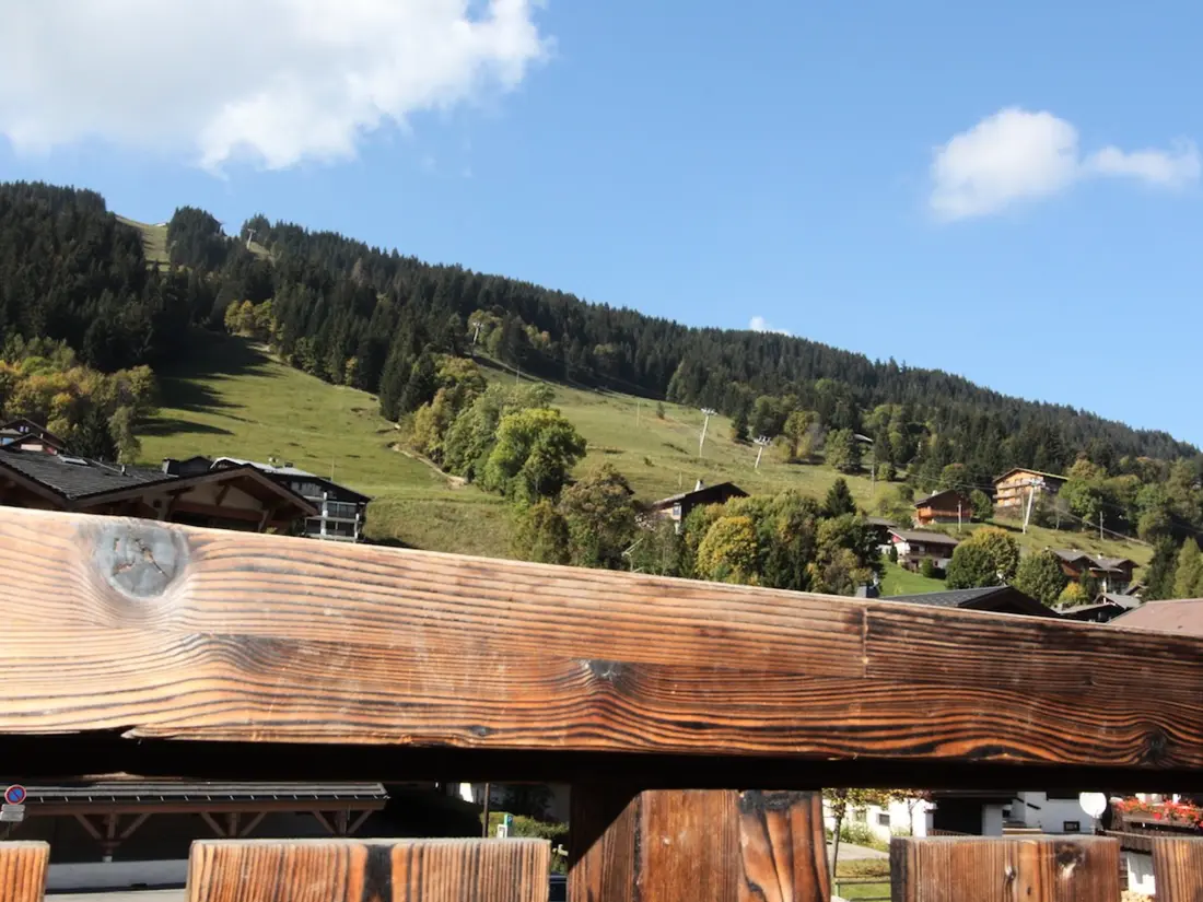 Location de Vacances Les Gets 689