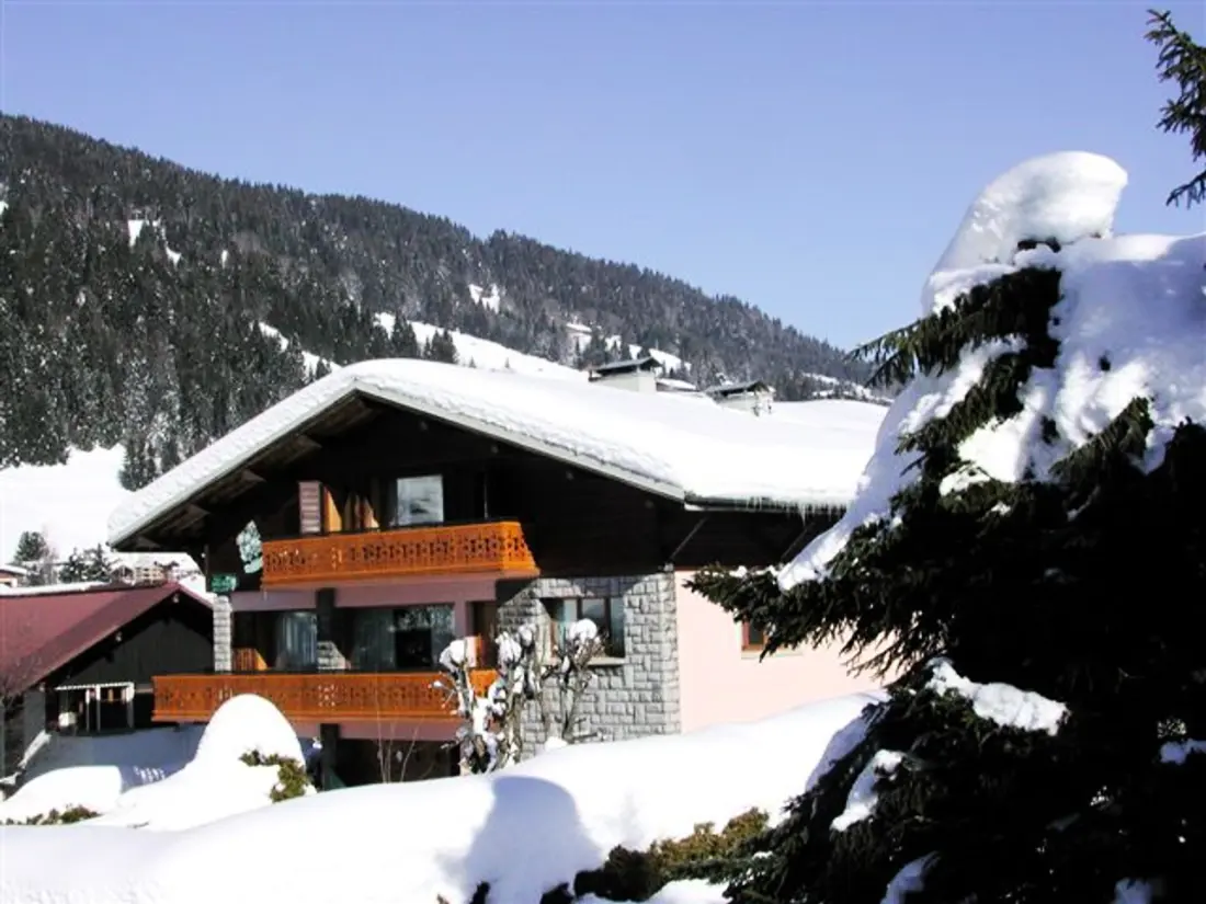 Location de Vacances Les Gets 701