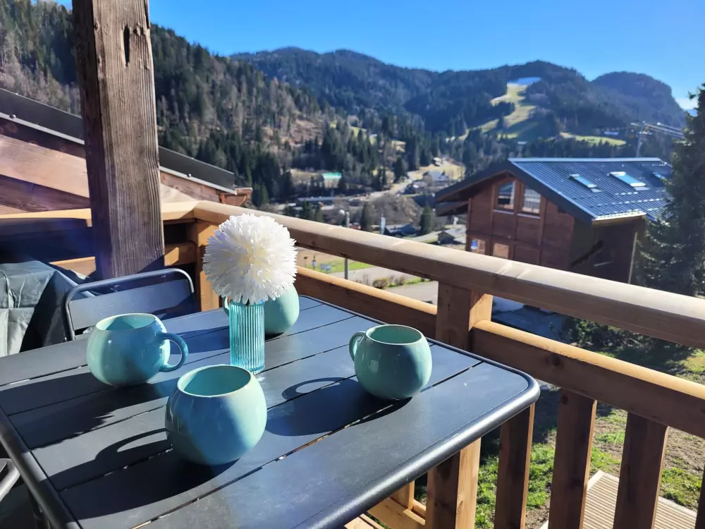 Location de Vacances Les Gets 715