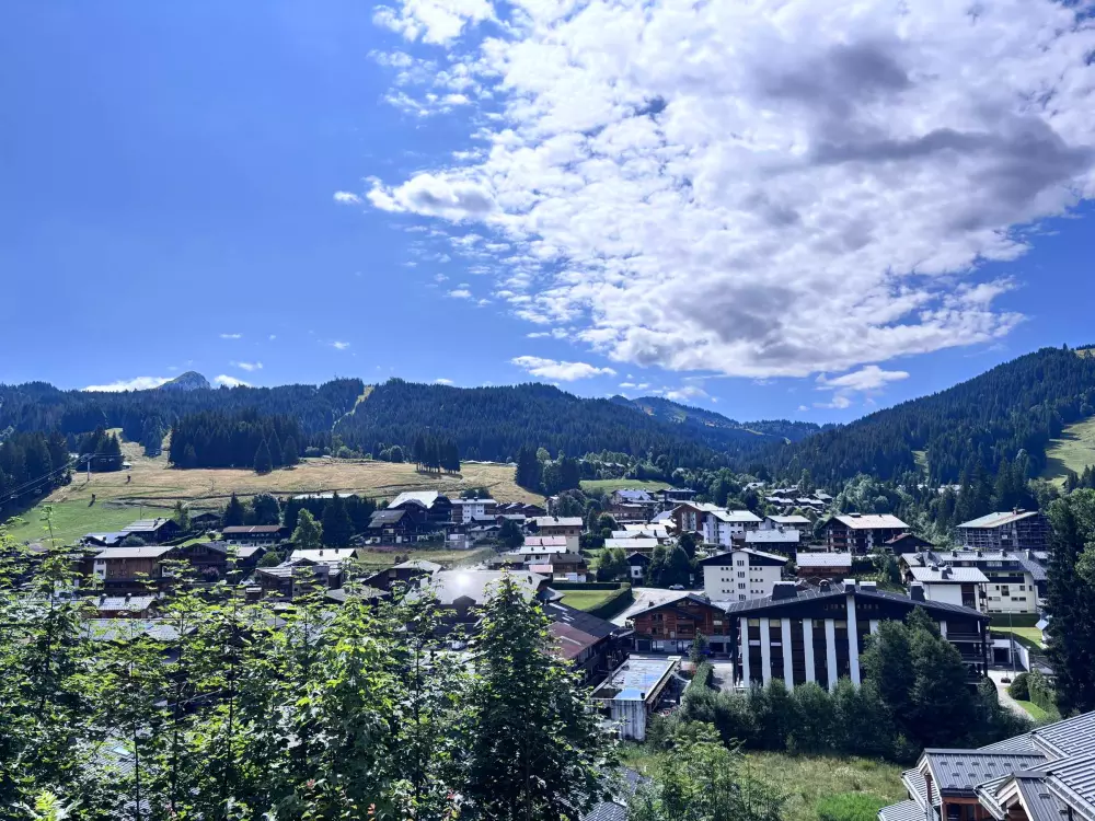 Location de Vacances Les Gets 752