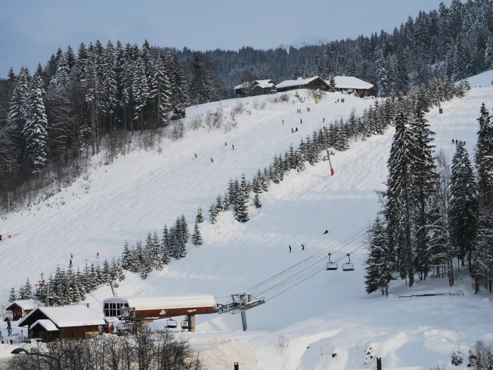 Location de Vacances Les Gets 753
