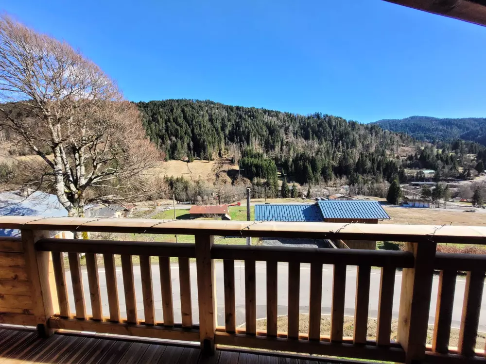 Location de Vacances Les Gets 754