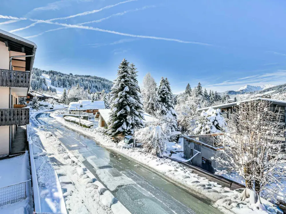 Location de Vacances Les Gets 794