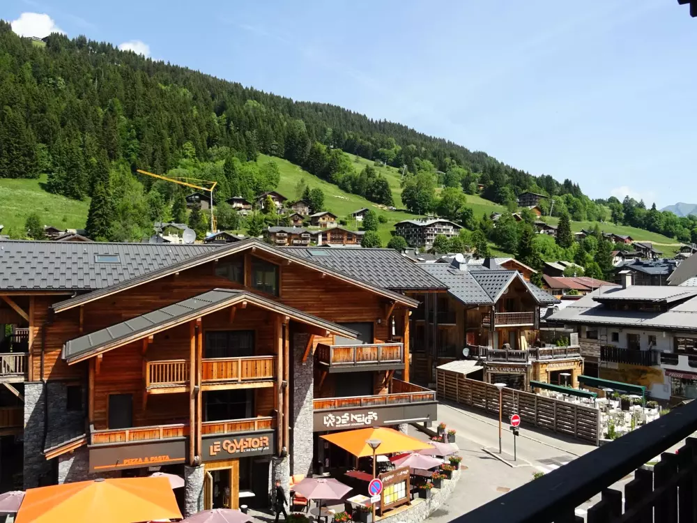 Location de Vacances Les Gets 836