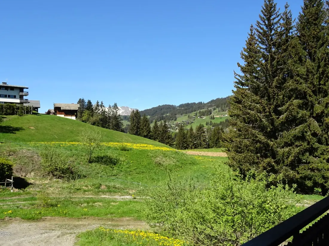 Location de Vacances Les Gets 842