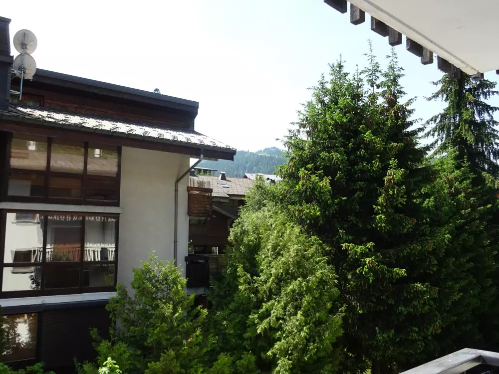 Location de Vacances Les Gets 847