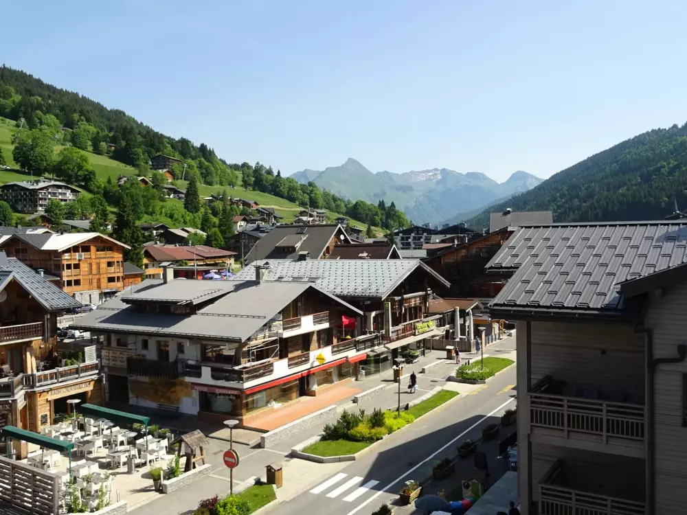 Location de Vacances Les Gets 863