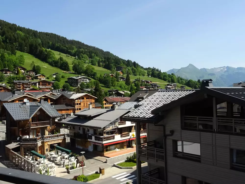 Location de Vacances Les Gets 865