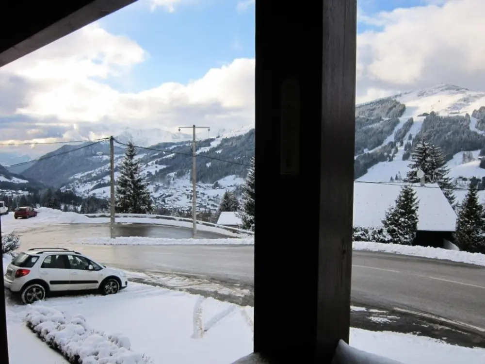 Location de Vacances Les Gets 867