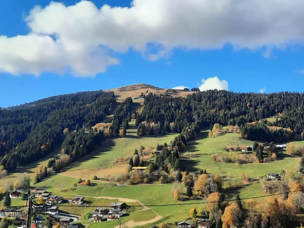 Location de Vacances Les Gets 874