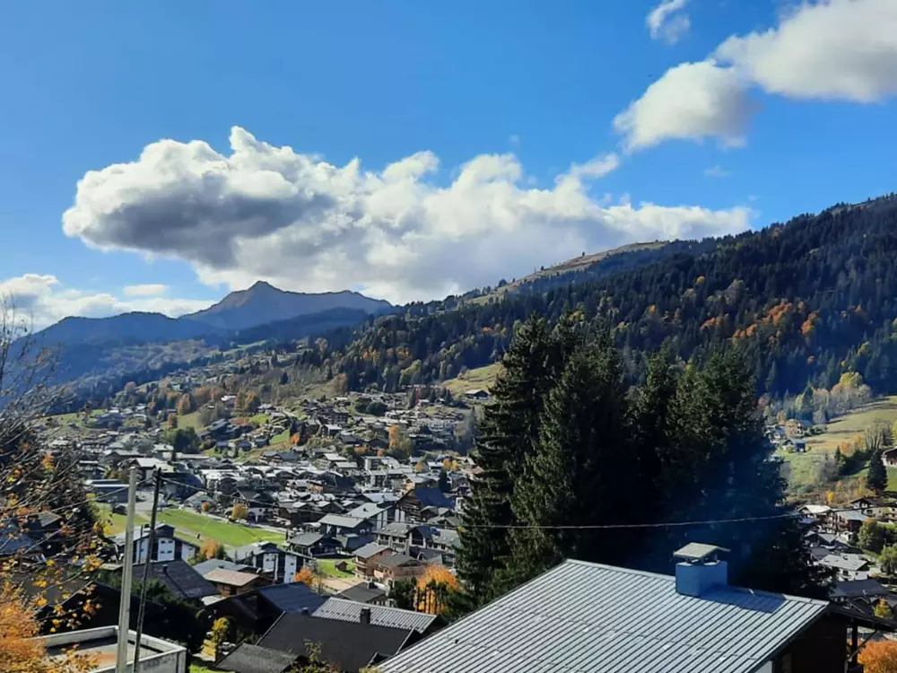 Location de Vacances Les Gets 874