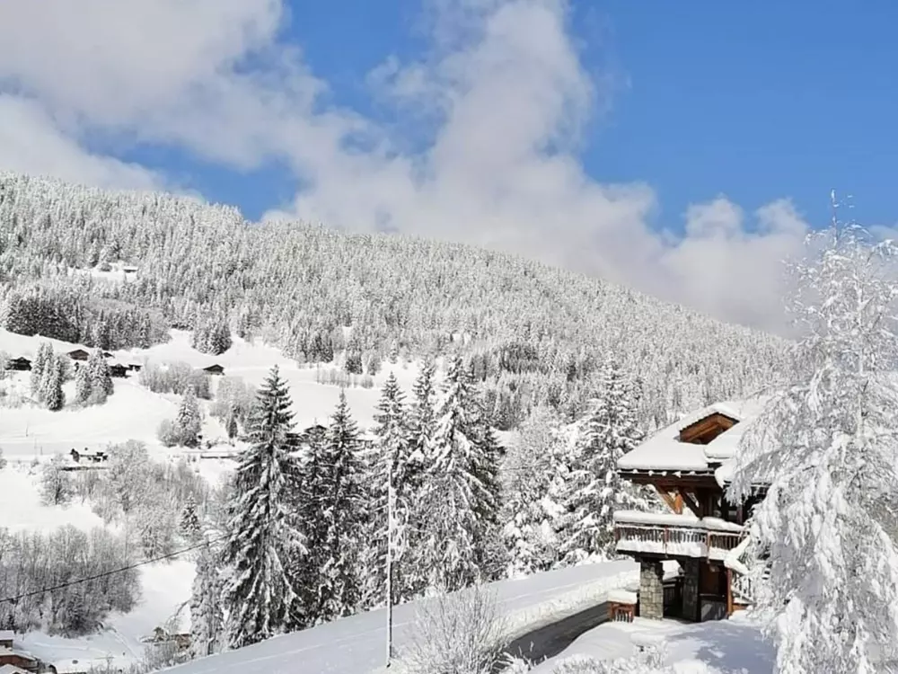 Location de Vacances Les Gets 874