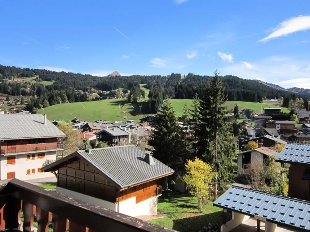 Location de Vacances Les Gets 877