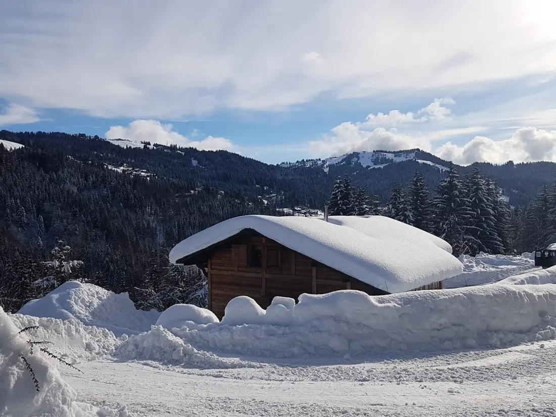 Location de Vacances Les Gets 880