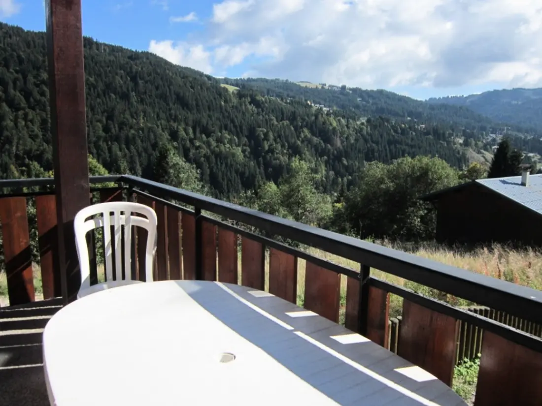 Location de Vacances Les Gets 880